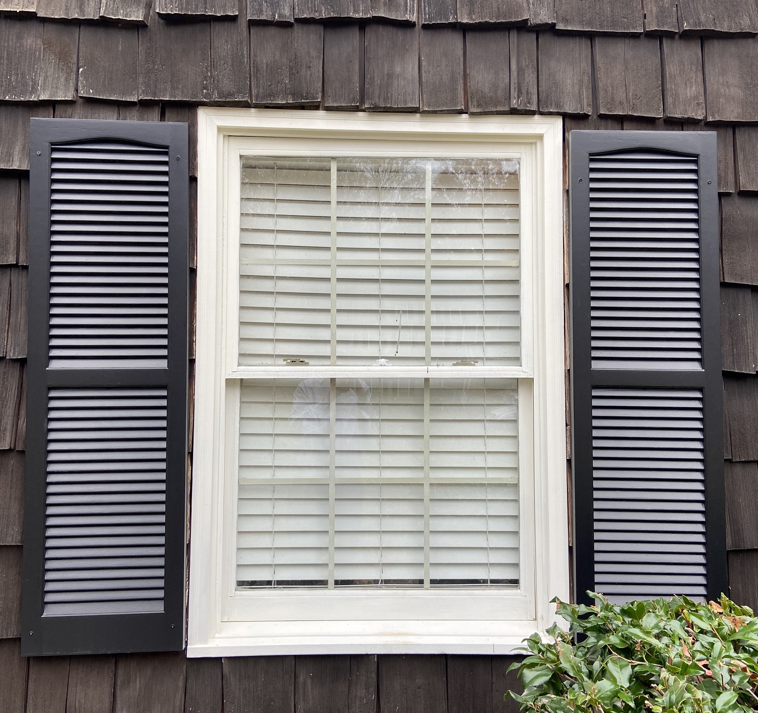 Single-Hung Windows - Replacement Windows Greensboro NC | BTL Windows ...